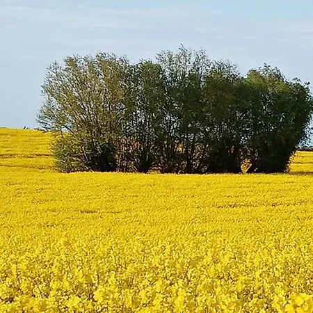 Horst 3 Blau Apartamento *