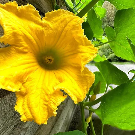 Horst 3 Blau Apartamento Kalkhorst