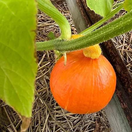 Horst 3 Blau Apartamento *