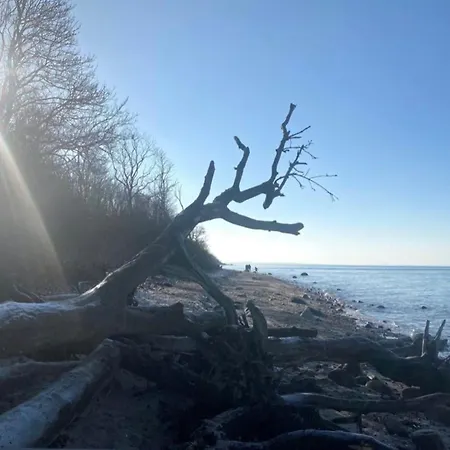 Apartamento Horst 3 Blau *